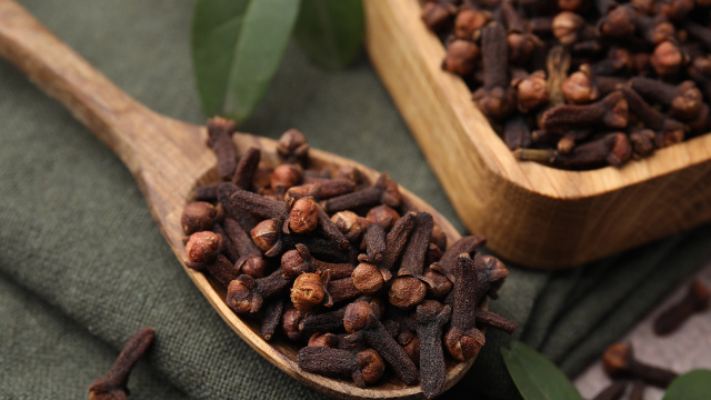 Para que serve mastigar cravo-da-índia? Esses são os benefícios impressionantes desse hábito simples