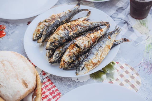 Muitos dão preferência para o atum e para o salmão, mas esse peixe tem mais vitamina D e é muito mais barato!