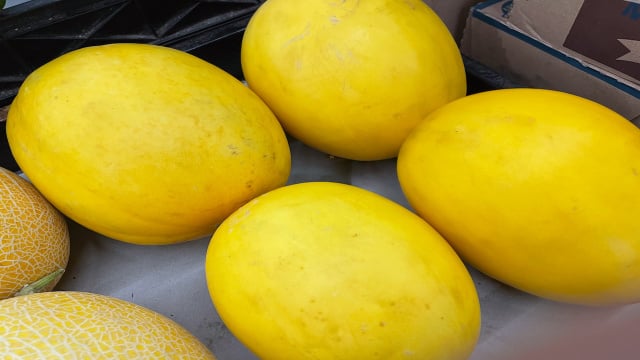 Planejamento e atenção aos detalhes no momento das compras de supermercado para evitar desperdícios na cozinha. (Foto: Shutterstock)