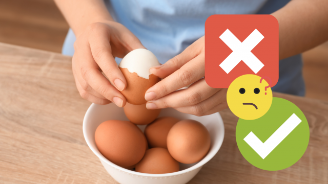 Ovo cozido de um dia para o outro: é seguro comer ou você vai passar mal? Especialista responde!
