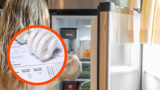 Minha conta de luz estava altíssima, e eu descobri que o culpado era a geladeira com esse truque