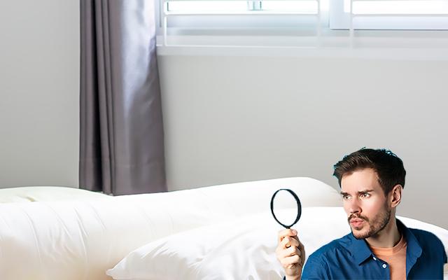 Se você coloca o seu travesseiro no sol para se livrar de ácaros, você precisa saber o que esse neurocientista tem a dizer