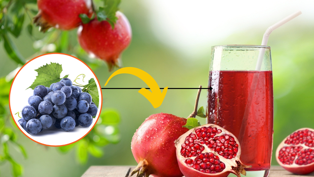 Benefícios do suco de romã com uva: o que acontece com o seu corpo se consumir a bebida e como preparar