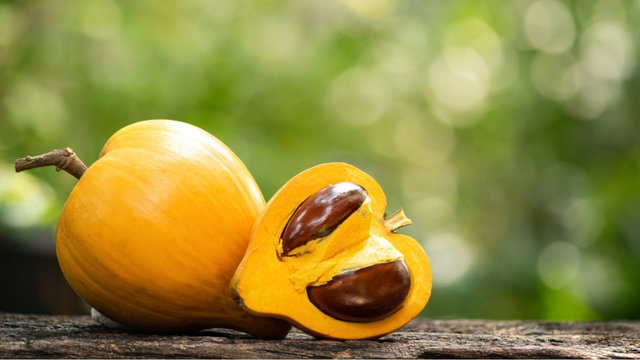 A fruta brasileira que tem o sabor de doce de leite e quase ninguém conhece