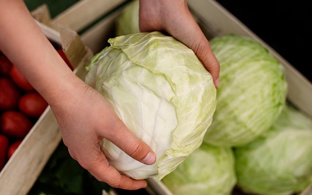 "É seguro comer?" A verdadeira natureza das manchas pretas frequentemente vistas no repolho