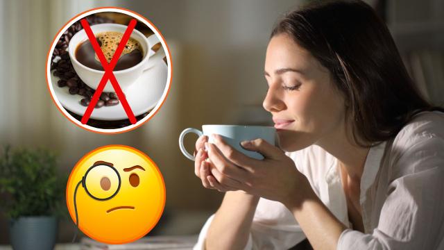 Bebida diurética está sendo vista como uma substituta saudável do café: reduz o colesterol e a inflamação do corpo