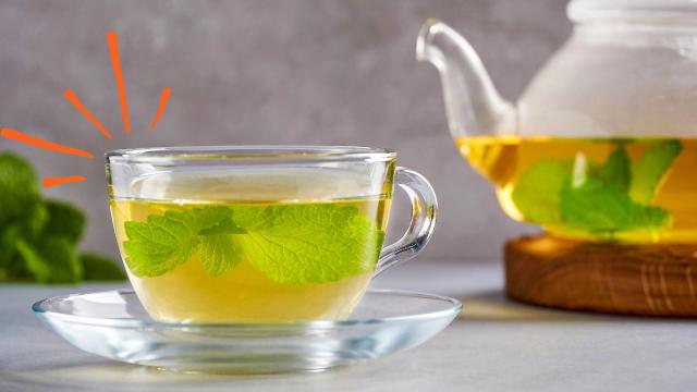 Chá de erva-cidreira tem efeito analgésico e anti-inflamatório: conheça benefícios, como fazer a bebida e saiba quem não deve beber