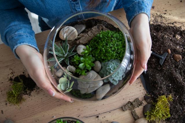 Deixe sua casa muito mais linda com esse mini jardim no vidro, é fácil de fazer e muito barato!