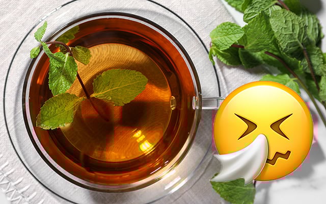 Chá para males do inverno: a planta que cura resfriados, reduz febre e combate a congestão nasal e pulmonar