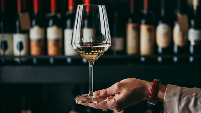 Adega no verão: 3 opções de adegas climatizadas para você ter em casa e saborear um delicioso vinho
