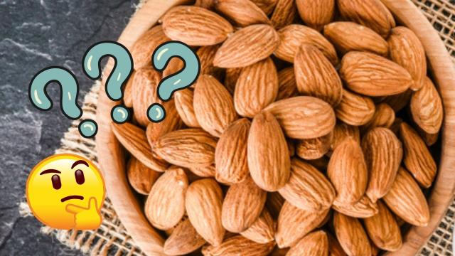 O que acontece se você comer amêndoas todos os dias? Descubra os benefícios, quando é melhor comer e a quantidade recomendada