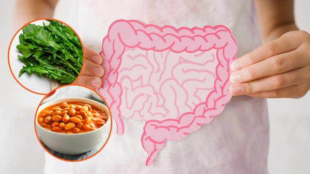 Os alimentos que auxiliam no funcionamento correto da microbiota intestinal