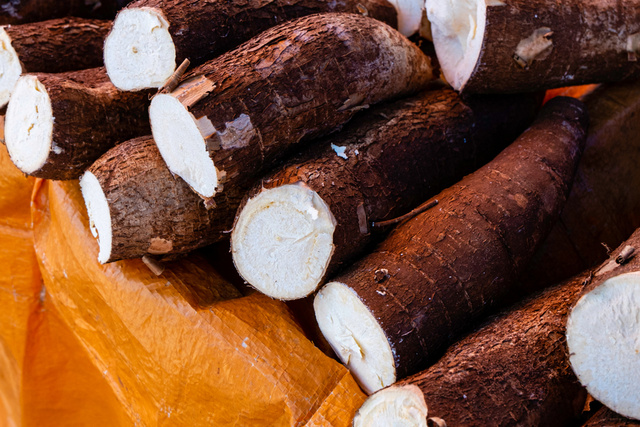 Como escolher a melhor mandioca na feira ou no mercado para fazer pratos deliciosos