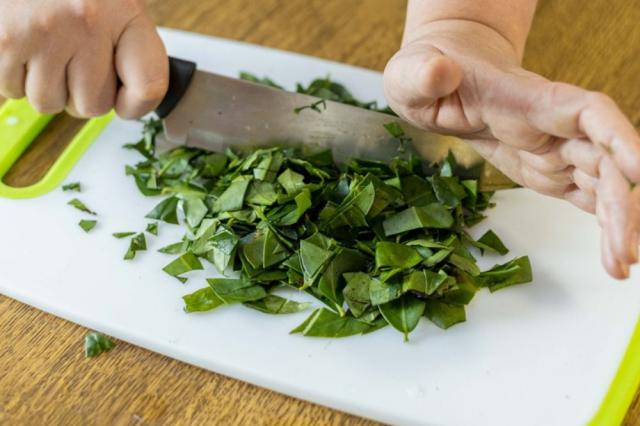 ORA-PRO-NÓBIS: elimine a baba da planta com esse truque simples e deixe a sua receita poderosa ainda mais gostosa