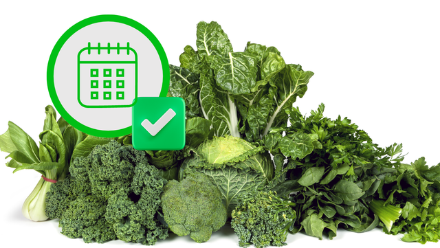 Os benefícios das verduras verde-escuras: descubra por que você comer um desses alimentos todos os dias