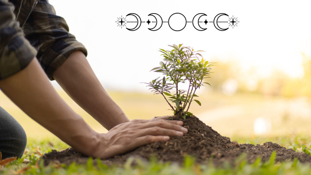 Aprendi com a minha avó e essa jardineira confirmou que a lua interfere no crescimento das plantas: "Quando a lua tá mais cheia, a tendência é que..."