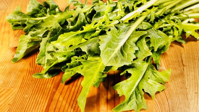 Nem couve, nem alface: essa é a hortaliça rica em fibras que você precisa incluir na sua alimentação já