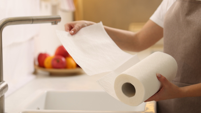 É o fim do papel-toalha? esse é o novo substituto ecológico que limpa tudo e ajuda a economizar