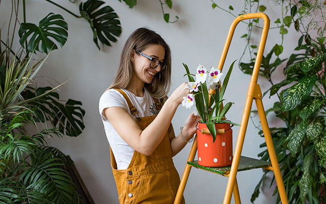 As melhores flores de dezembro para decorar a sua casa para o Natal e Réveillon
