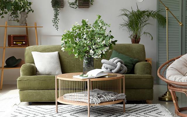 Essas são as melhores plantas para você ter em casa se está precisando de sorte neste fim de ano