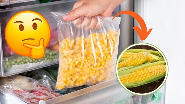 Quantos dias o milho cozido pode ficar na geladeira? Armazene da forma correta com essas dicas!