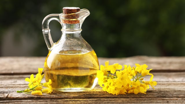 Veja as dicas do TudoGostoso para usar o óleo de canola no dia a dia (Créditos: Shutterstock)