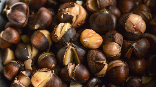Sem micro-ondas, nem frigideira: a receita perfeita para fazer castanha assada em casa que aprendi com vendedor de rua em Portugal