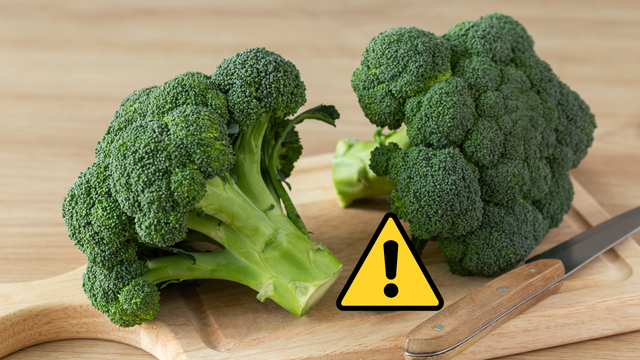 Brócolis e botulismo: como identificar e evitar o problema que assustou a todos após 2 mortes ligadas ao consumo do vegetal