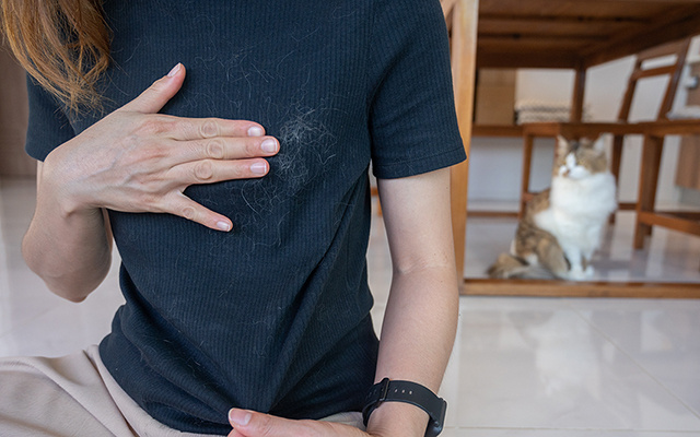 Disse adeus aos pelos nas roupas depois que aprendi esse truque: basta colocar na máquina na hora de lavar