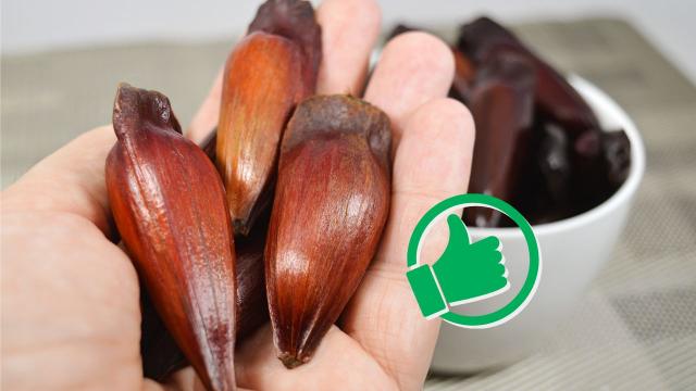 É temporada de pinhão! Esses são os benefícios de consumir a quantidade certa do alimento típico do outono