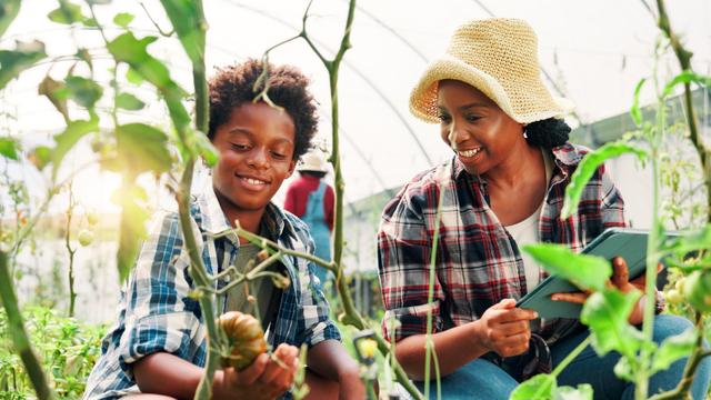 Por que seu filho deveria cultivar plantas? A psicologia explica (e os benefícios são surpreendentes!)