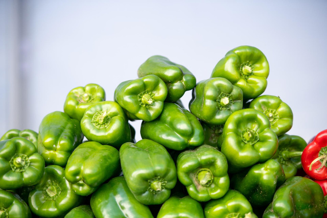 Você sabe como escolher o melhor pimentão para sua receita? A resposta está na parte de baixo!
