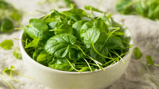 Adeus agrião amargo: essa é a melhor forma de tirar o sabor indesejado por muitos dessa verdura que todo mundo deveria comer