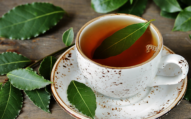 Como preparar infusão de louro para aliviar dores nas articulações, reduzir os níveis de açúcar no sangue e reduzir gases intestinais