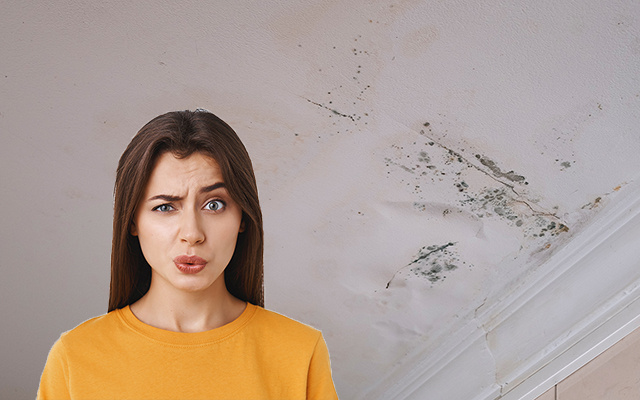 Adeus umidade no teto: 4 soluções simples para eliminar o problema no seu banheiro