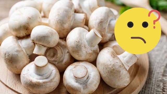 Pode comer cogumelo cru ou faz mal à saúde? A gente tira sua dúvida e explica quais cuidados deve ter!