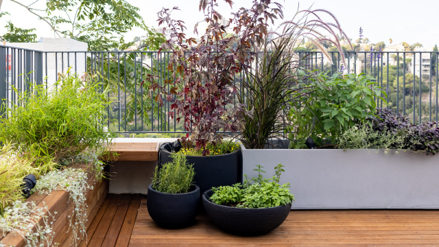 Veja como transformar o seu jardim com essa tendência (Créditos: Shutterstock)