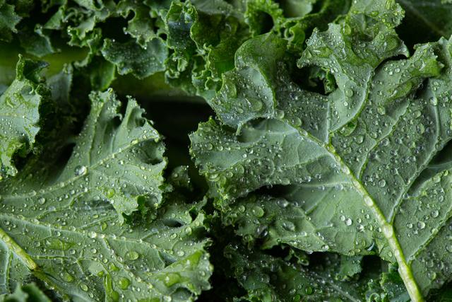 Este é o vegetal que fornece mais cálcio do que um copo de leite e mais vitamina C e antioxidantes do que a laranja