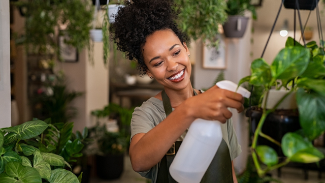 O que significa ter muitas plantas em casa? Isso pode explicar muito sobre a personalidade de cada pessoa