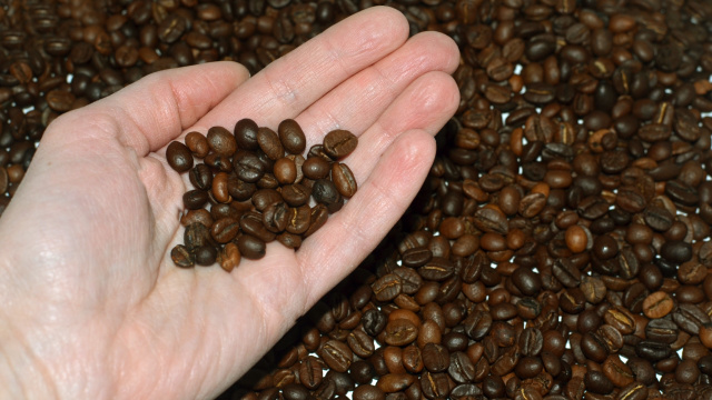 Grãos de baixa qualidade e mofados: operação apreende mais de 2 toneladas de café irregular no Rio de Janeiro