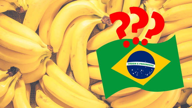 É verdade que a banana é uma fruta brasileira? TudoGostoso acaba com a dúvida de uma vez por todas!