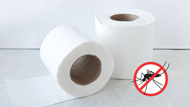 Um truque único com papel higiênico que ajuda a se livrar dos mosquitos para sempre