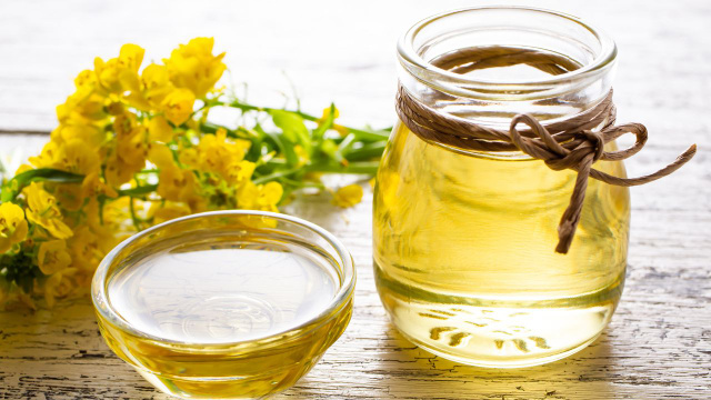 Esse óleo é a alternativa ao azeite que cabe no bolso e ainda faz bem para a saúde