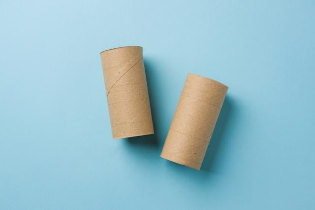 Se você tem rolos de papel higiênico vazios, não os jogue fora, você tem um tesouro em casa