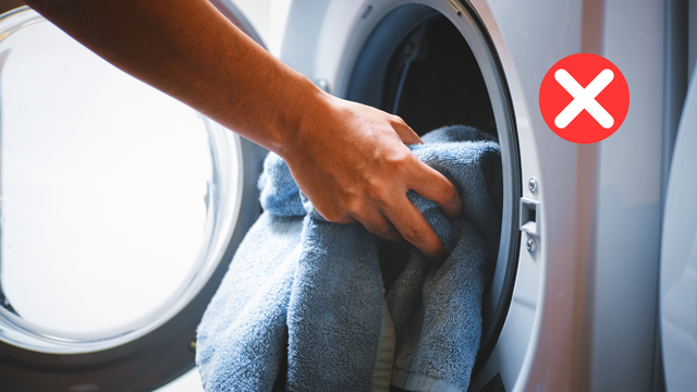 Se você coloca esses itens para lavar na sua máquina pode estar colocando sua saúde em risco