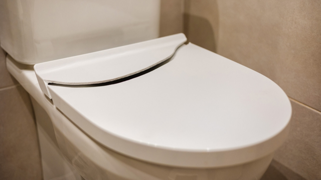 Por que você deve jogar gelo no vaso sanitário uma vez por semana: o truque que os encanadores não contam!