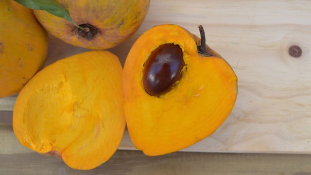 Fruta canistel madura tem a polpa amarelo-ovo (Créditos: Shutterstock)