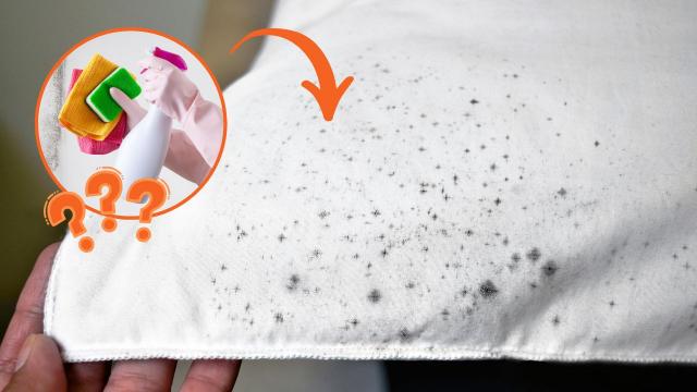 É o fim do mofo! Junte esses dois ingredientes que você tem em casa e faça um antimofo eficaz para deixar no armário