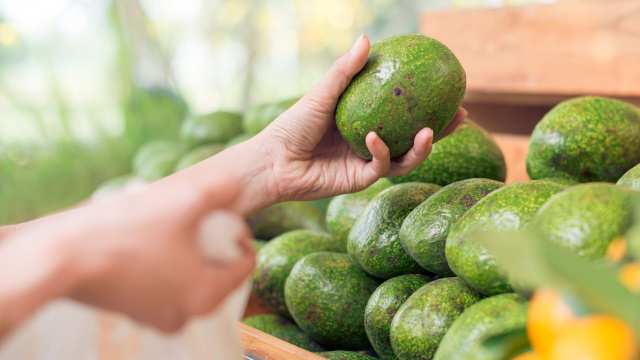 Dicas para escolher abacates recém-maduros no supermercado: basta seguir estes 3 passos fáceis