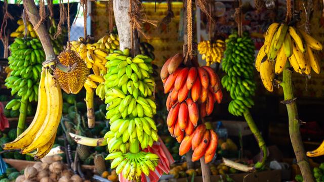 Afinal, banana prende ou solta o intestino? Nutricionista responde